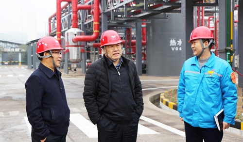 袁衛(wèi)東到股份、楚星和新項目現(xiàn)場調(diào)研(圖5)