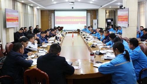 王大真調(diào)研指導(dǎo)股份公司、化機(jī)公司和TMP新項(xiàng)目2020年財(cái)務(wù)預(yù)算工作(圖1)