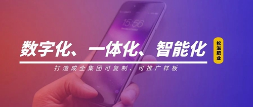 線上辦公零接觸！松滋肥業(yè)信息化在戰(zhàn)“疫”之中顯身手(圖1)