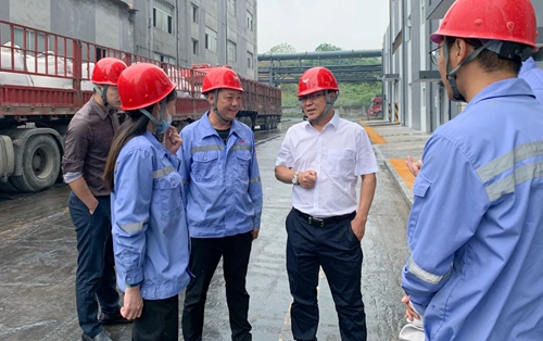 王大真到松滋肥業(yè)、楚星公司和TMP項目現(xiàn)場檢查工作(圖1)