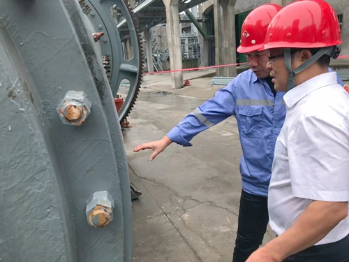 王大真到松滋肥業(yè)、楚星公司和TMP項目現(xiàn)場檢查工作(圖2)