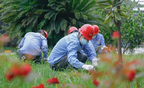 集團總部機關(guān)干部到股份公司勞動(圖7) 集團總部機關(guān)干部到股份公司勞動(圖7)