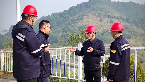 王大真到松滋肥業(yè)、楚星公司、新材料公司和股份公司現(xiàn)場(chǎng)調(diào)研(圖1)