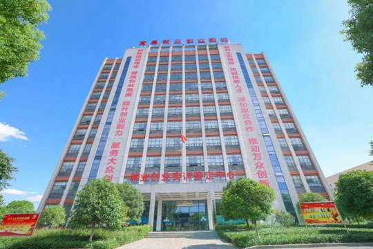 湖北省第一批“荊楚工匠學(xué)院”！宜化職業(yè)培訓(xùn)中心獲授牌(圖2)