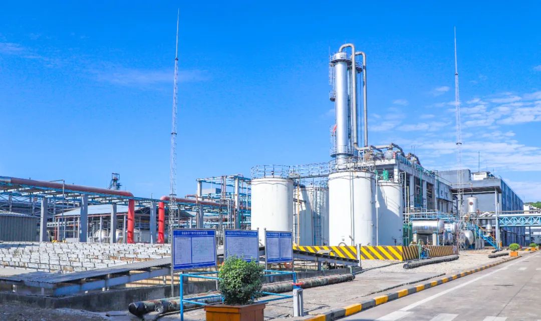 股份公司：上好“開年廉政第一課”，勁吹清風啟新篇(圖3)