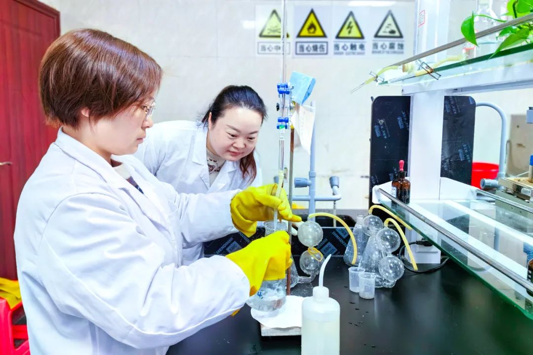 【宜化榜樣】股份公司黃冬燕：立足分析崗位，爭當技術能手(圖5)