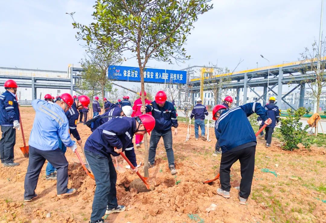 “植”此青綠共“樹”未來！集團(tuán)各公司開展植樹活動(dòng)(圖8)