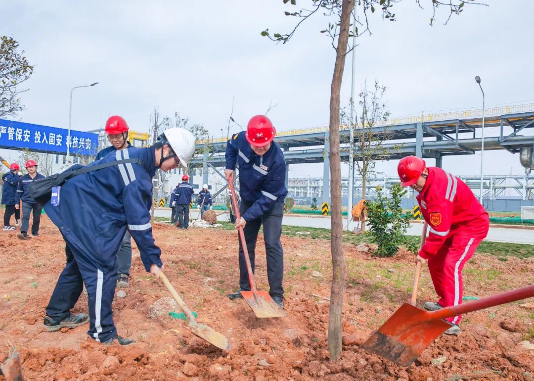 “植”此青綠共“樹”未來！集團(tuán)各公司開展植樹活動(dòng)(圖10)