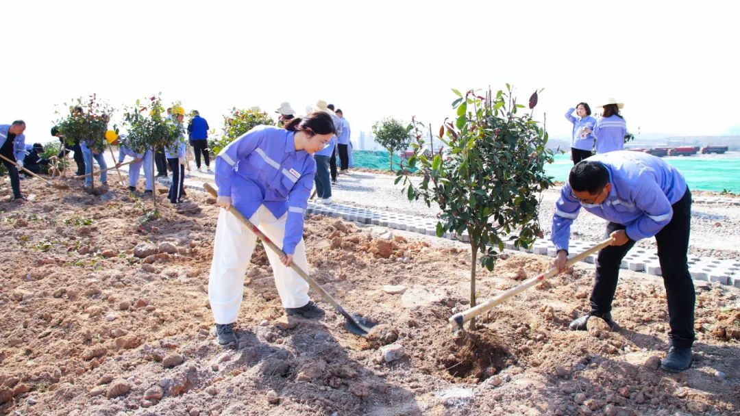 “植”此青綠共“樹”未來！集團(tuán)各公司開展植樹活動(dòng)(圖16)