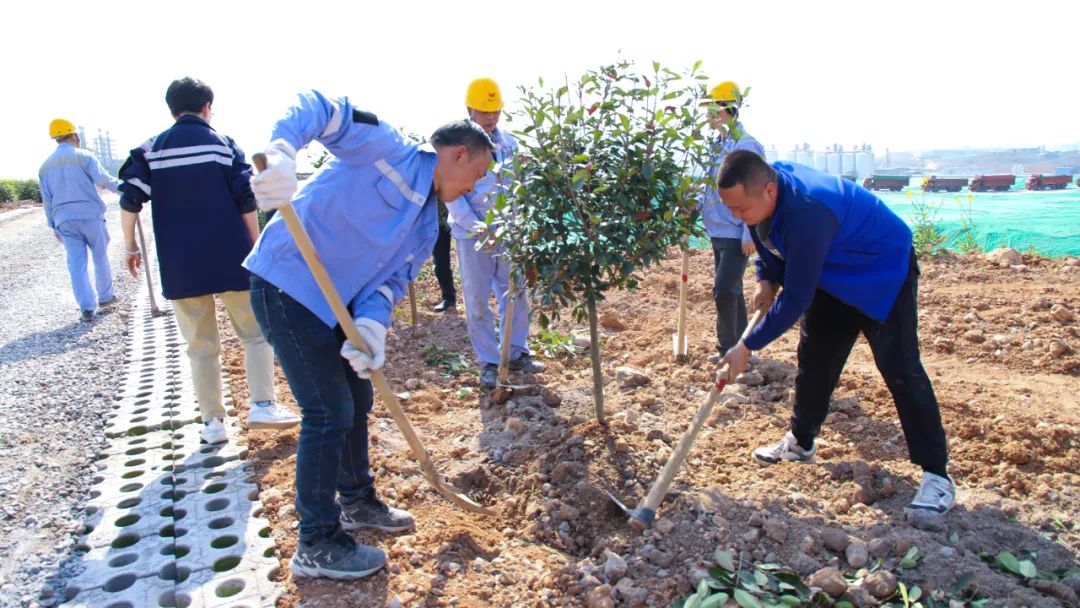 “植”此青綠共“樹”未來！集團(tuán)各公司開展植樹活動(dòng)(圖14)