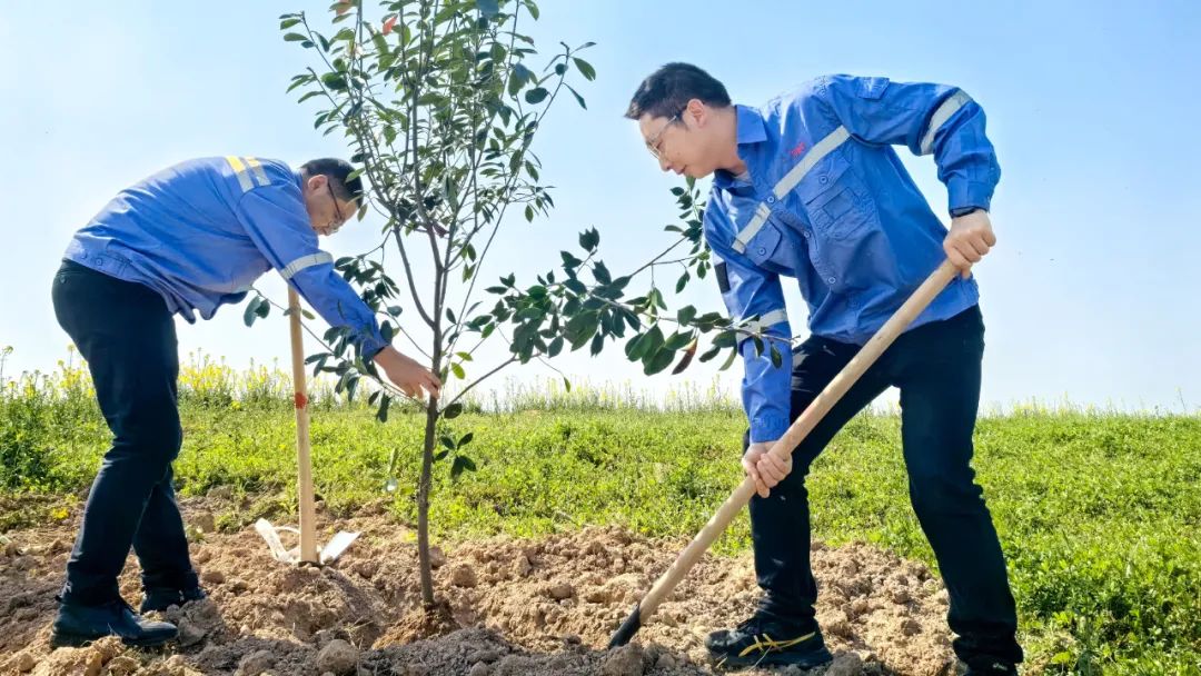 “植”此青綠共“樹”未來！集團(tuán)各公司開展植樹活動(dòng)(圖15)