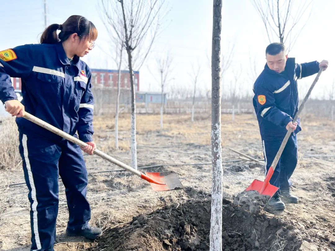 “植”此青綠共“樹”未來！集團(tuán)各公司開展植樹活動(dòng)(圖21)