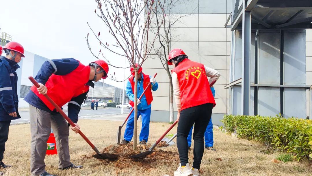 “植”此青綠共“樹”未來！集團(tuán)各公司開展植樹活動(dòng)(圖24)
