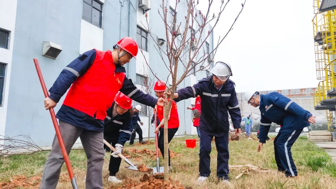 “植”此青綠共“樹”未來！集團(tuán)各公司開展植樹活動(dòng)(圖26)