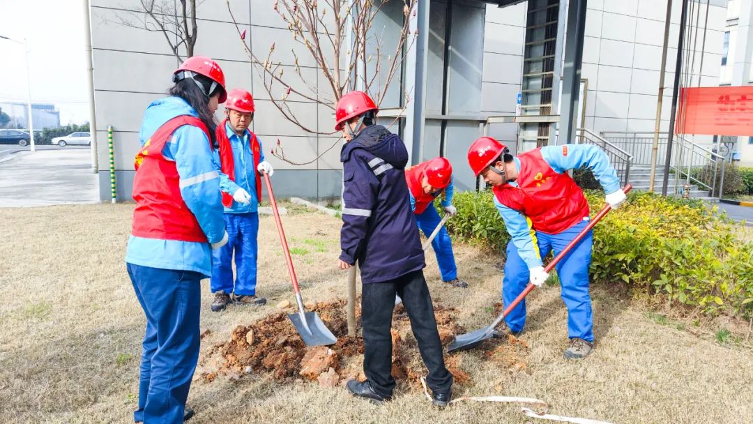 “植”此青綠共“樹”未來！集團(tuán)各公司開展植樹活動(dòng)(圖25)