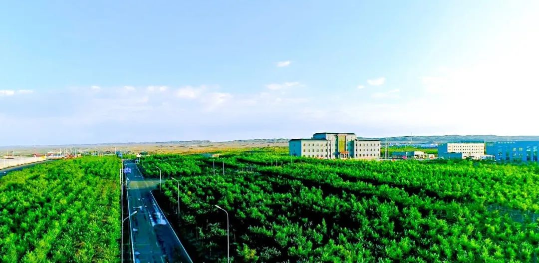 新疆宜化礦業(yè):鉚足干勁奮戰(zhàn)“開(kāi)門(mén)紅”(圖5) 新疆宜化礦業(yè):鉚足干勁奮戰(zhàn)“開(kāi)門(mén)紅”(圖5)