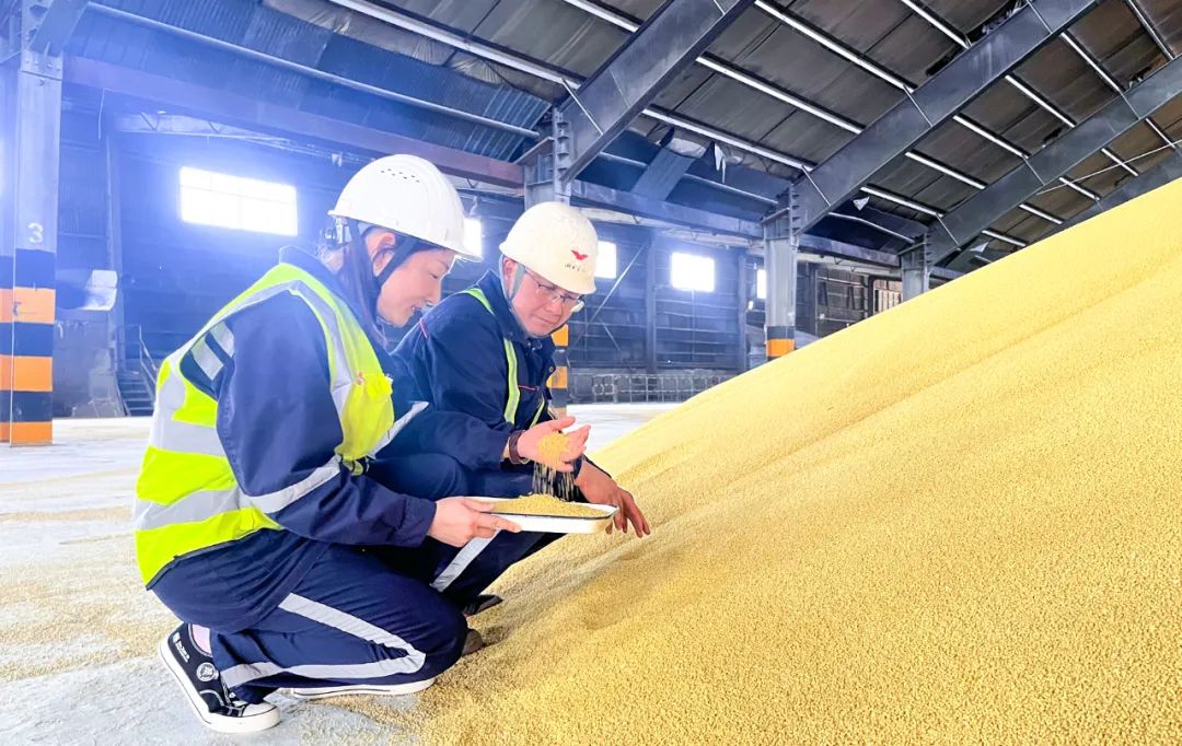 股份公司：精準(zhǔn)施策促提升，全力奪取“開門紅”(圖4)