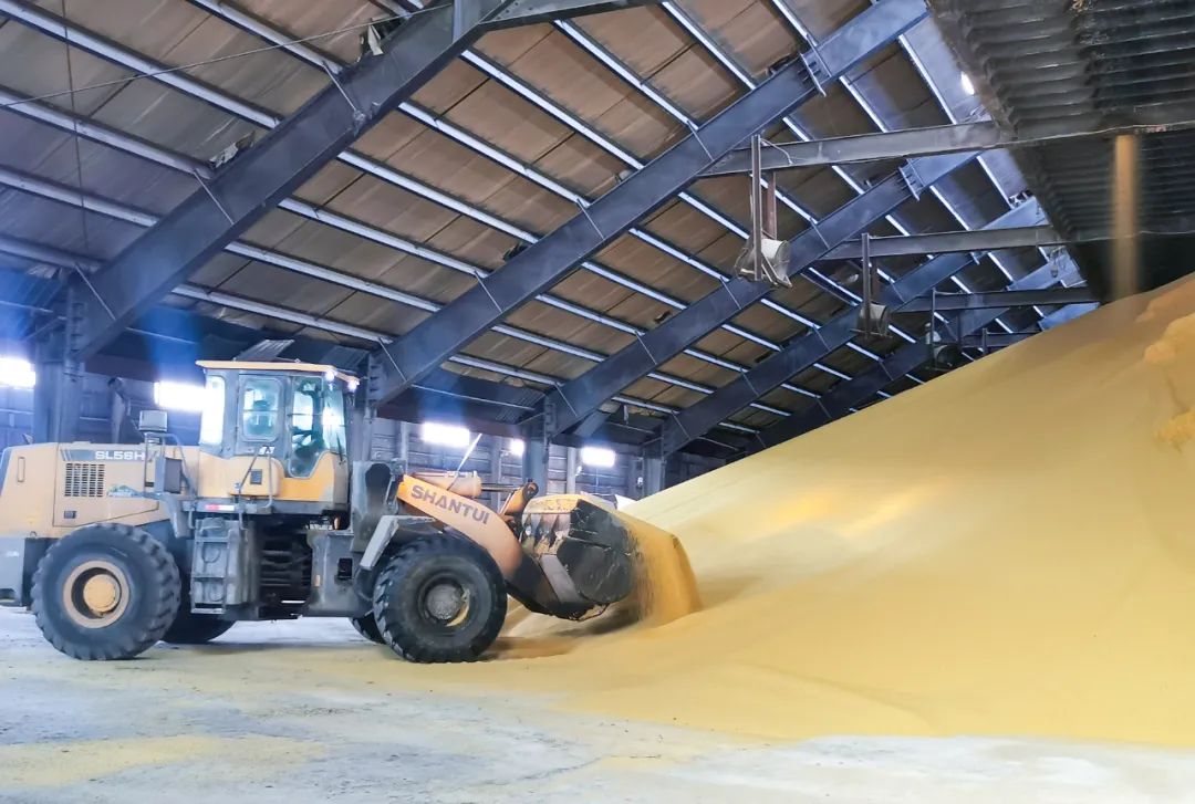 股份公司磷銨分廠：優(yōu)化生產(chǎn)提質(zhì)量，深挖潛力創(chuàng)效益(圖3)