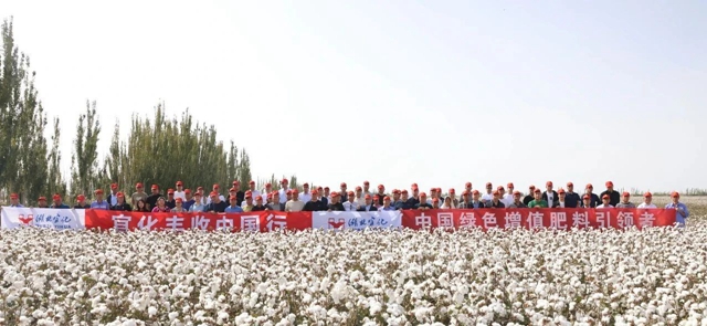 宜化豐收中國行！新疆棉花大型測產(chǎn)觀摩會成功舉行(圖1)