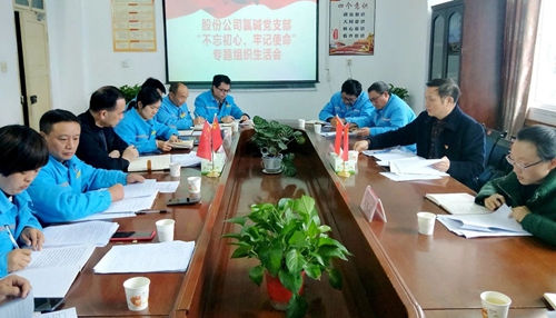 向宇飛列席指導股份公司氯堿黨支部“不忘初心、牢記使命”專題組織生活會