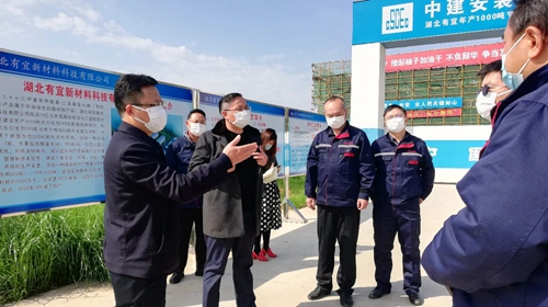 王大真到TMP、TPO項目及股份公司技改現(xiàn)場檢查工作