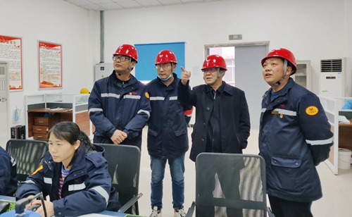 王大真到松滋肥業(yè)、楚星公司現(xiàn)場檢查指導(dǎo)工作