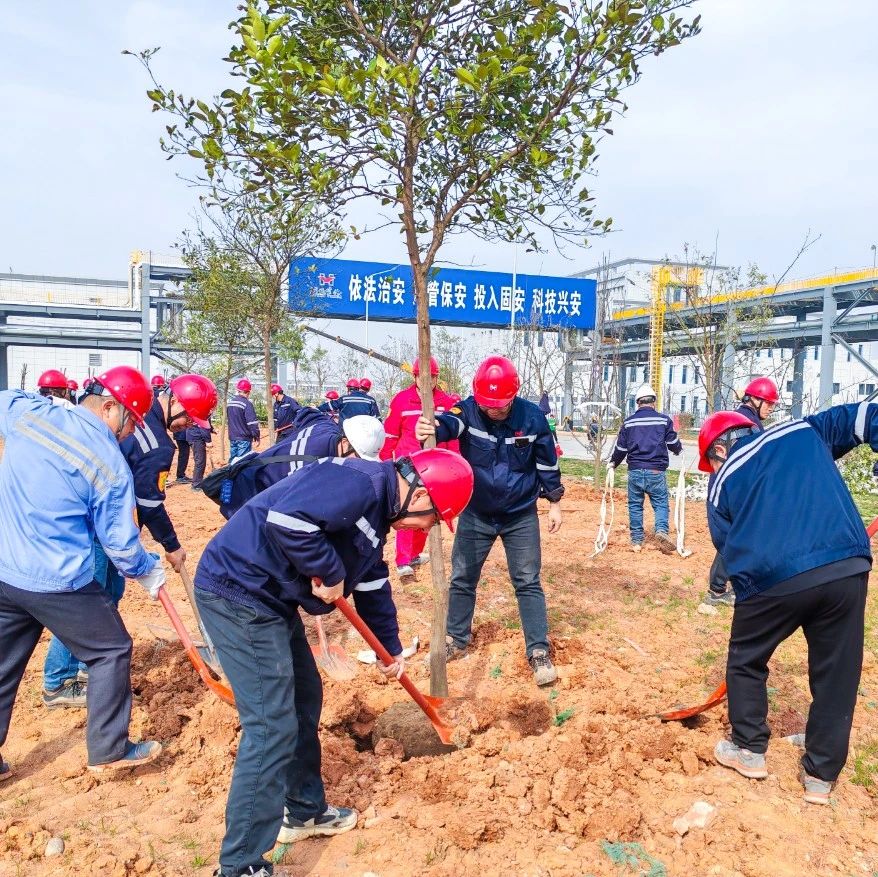 “植”此青綠共“樹(shù)”未來(lái)！集團(tuán)各公司開(kāi)展植樹(shù)活動(dòng)