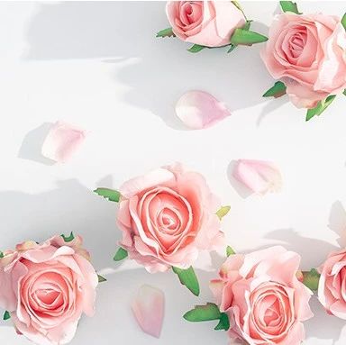 【三八特輯】致敬了不起的宜化“她”力量！